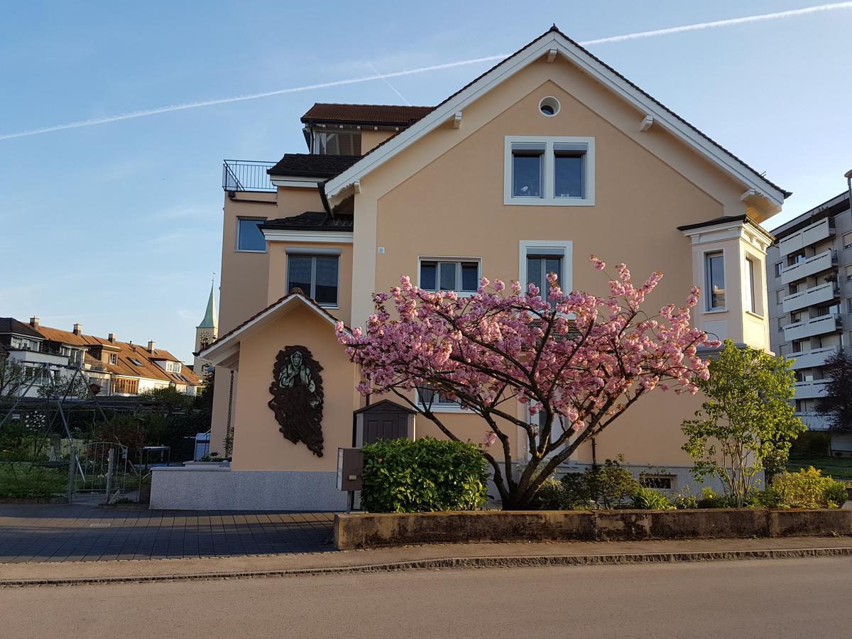 Niros Bed & Breakfast Birsfelden Екстериор снимка